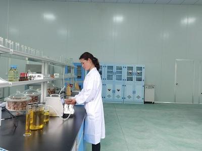 重庆城口核桃精深加工项目投产，带动3万农户增收并拓展茶叶制品生产